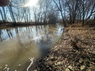 Property photo 100 - LAND AUCTION - 73+/- ACRES OFFERED IN 9 TRACTS OR COMBINATIONS IN DEKALB COUNTY, INDIANA