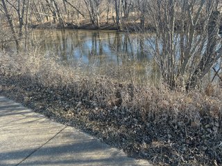 Property photo 103 - LAND AUCTION - 73+/- ACRES OFFERED IN 9 TRACTS OR COMBINATIONS IN DEKALB COUNTY, INDIANA
