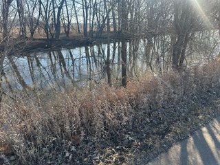 Property photo 104 - LAND AUCTION - 73+/- ACRES OFFERED IN 9 TRACTS OR COMBINATIONS IN DEKALB COUNTY, INDIANA