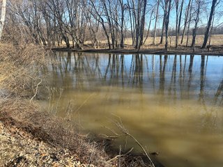 Property photo 110 - LAND AUCTION - 73+/- ACRES OFFERED IN 9 TRACTS OR COMBINATIONS IN DEKALB COUNTY, INDIANA