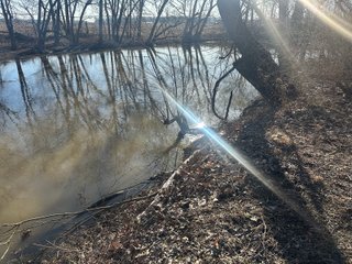 Property photo 111 - LAND AUCTION - 73+/- ACRES OFFERED IN 9 TRACTS OR COMBINATIONS IN DEKALB COUNTY, INDIANA