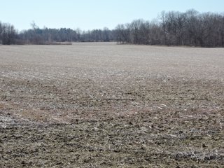 Property photo 5 - LAND AUCTION - 107+/- ACRES OFFERED IN 4 TRACTS IN DELAWARE COUNTY INDIANA