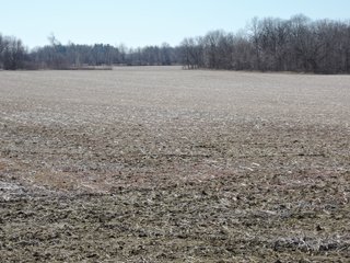Property photo 1 - LAND AUCTION - 107+/- ACRES OFFERED IN 4 TRACTS IN DELAWARE COUNTY INDIANA