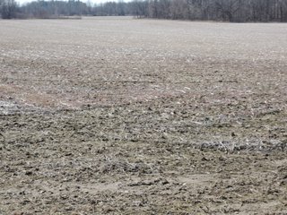 Property photo 6 - LAND AUCTION - 107+/- ACRES OFFERED IN 4 TRACTS IN DELAWARE COUNTY INDIANA