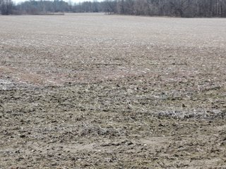 Property photo 7 - LAND AUCTION - 107+/- ACRES OFFERED IN 4 TRACTS IN DELAWARE COUNTY INDIANA