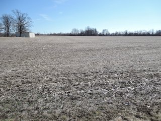 Property photo 11 - LAND AUCTION - 107+/- ACRES OFFERED IN 4 TRACTS IN DELAWARE COUNTY INDIANA