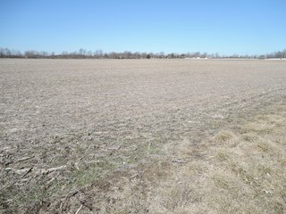 Property photo 3 - LAND AUCTION - 107+/- ACRES OFFERED IN 4 TRACTS IN DELAWARE COUNTY INDIANA
