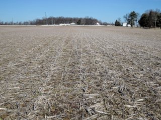 Property photo 14 - LAND AUCTION - 107+/- ACRES OFFERED IN 4 TRACTS IN DELAWARE COUNTY INDIANA