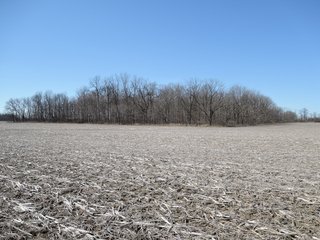 Property photo 15 - LAND AUCTION - 107+/- ACRES OFFERED IN 4 TRACTS IN DELAWARE COUNTY INDIANA