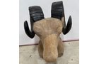 Property photo 48 - TIMED ONLINE ONLY PERSONAL PROPERTY AUCTION ON DEFIANCE COUNTY OHIO