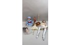 Property photo 255 - TIMED ONLINE ONLY PERSONAL PROPERTY AUCTION IN ALLEN COUNTY, INDIANA