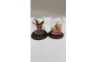 Property photo 409 - TIMED ONLINE ONLY PERSONAL PROPERTY AUCTION IN ALLEN COUNTY, INDIANA