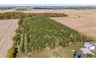 Property photo 45 - REAL ESTATE AUCTION - 37.5+/- ACRES OFFERED IN 3 TRACTS IN WHITLEY COUNTY, INDIANA