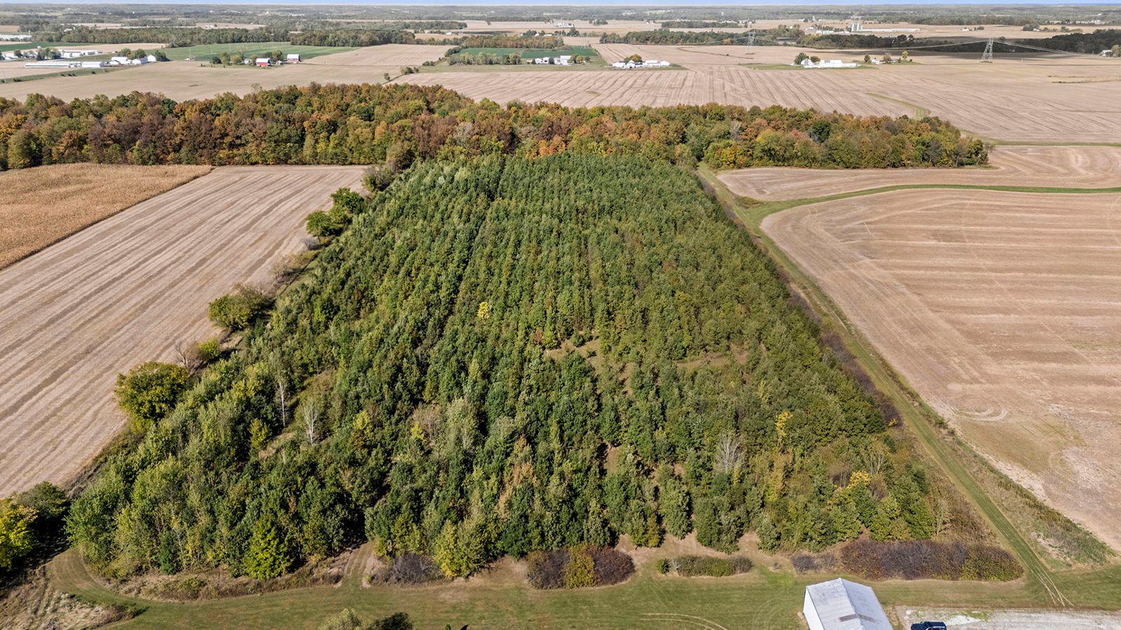 Property photo 34 - REAL ESTATE AUCTION - 37.5+/- ACRES OFFERED IN 3 TRACTS IN WHITLEY COUNTY, INDIANA