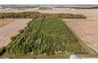 Property photo 34 - REAL ESTATE AUCTION - 37.5+/- ACRES OFFERED IN 3 TRACTS IN WHITLEY COUNTY, INDIANA