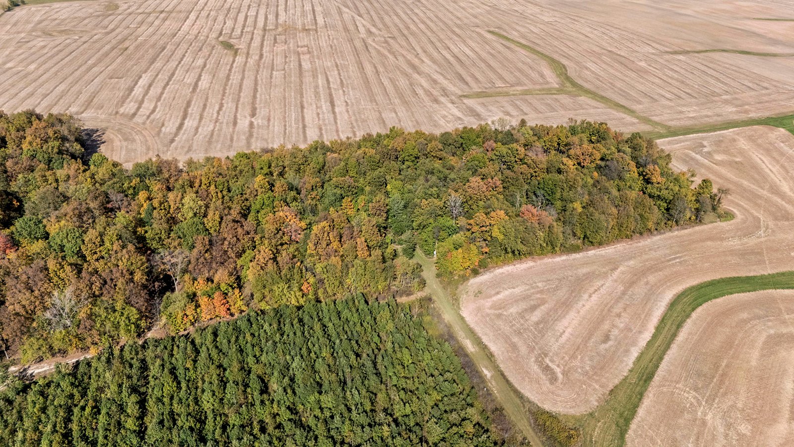 Property photo 42 - REAL ESTATE AUCTION - 37.5+/- ACRES OFFERED IN 3 TRACTS IN WHITLEY COUNTY, INDIANA