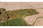 Property photo 42 - REAL ESTATE AUCTION - 37.5+/- ACRES OFFERED IN 3 TRACTS IN WHITLEY COUNTY, INDIANA