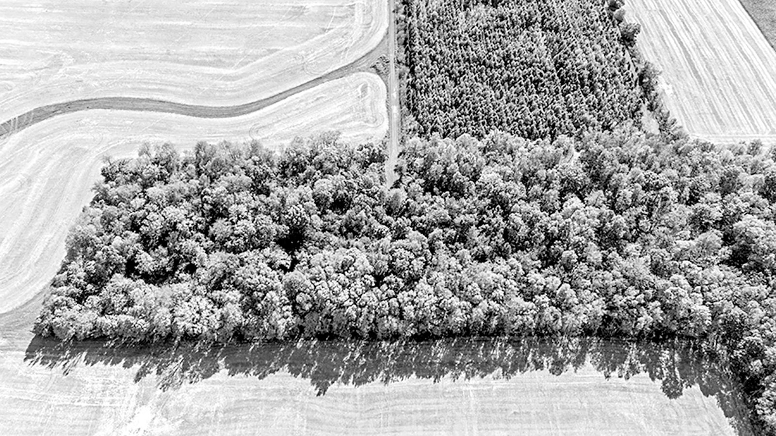 Property photo 41 - REAL ESTATE AUCTION - 37.5+/- ACRES OFFERED IN 3 TRACTS IN WHITLEY COUNTY, INDIANA