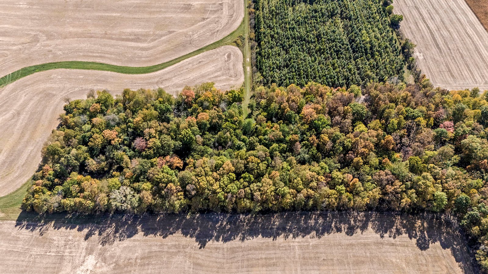 Property photo 40 - REAL ESTATE AUCTION - 37.5+/- ACRES OFFERED IN 3 TRACTS IN WHITLEY COUNTY, INDIANA