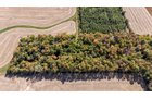 Property photo 40 - REAL ESTATE AUCTION - 37.5+/- ACRES OFFERED IN 3 TRACTS IN WHITLEY COUNTY, INDIANA