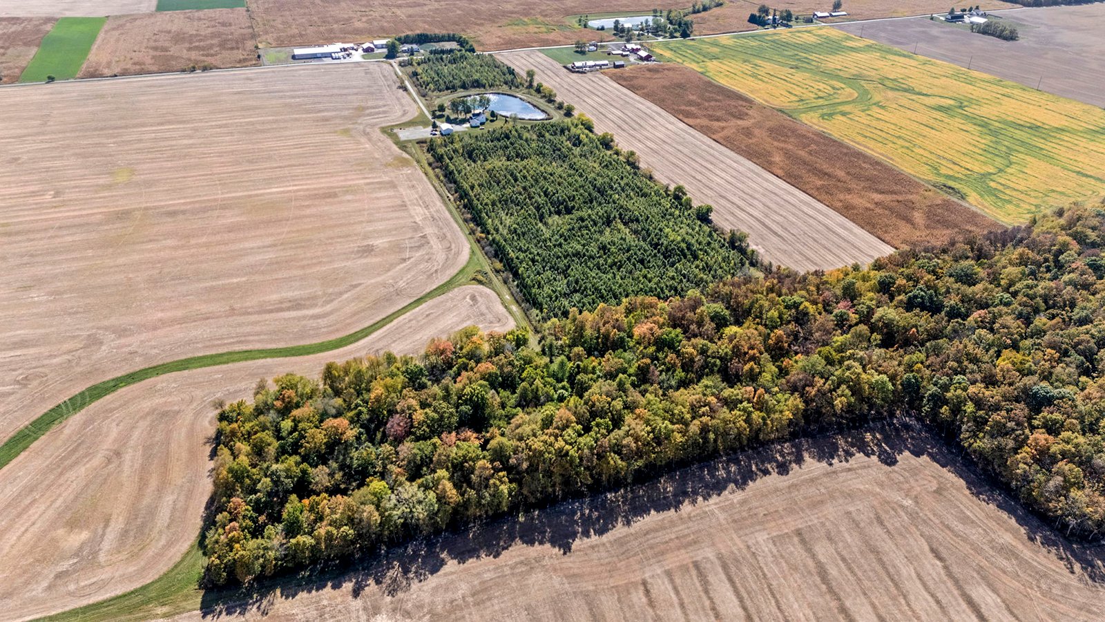 Property photo 39 - REAL ESTATE AUCTION - 37.5+/- ACRES OFFERED IN 3 TRACTS IN WHITLEY COUNTY, INDIANA