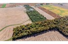 Property photo 39 - REAL ESTATE AUCTION - 37.5+/- ACRES OFFERED IN 3 TRACTS IN WHITLEY COUNTY, INDIANA