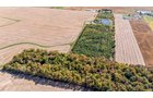 Property photo 37 - REAL ESTATE AUCTION - 37.5+/- ACRES OFFERED IN 3 TRACTS IN WHITLEY COUNTY, INDIANA
