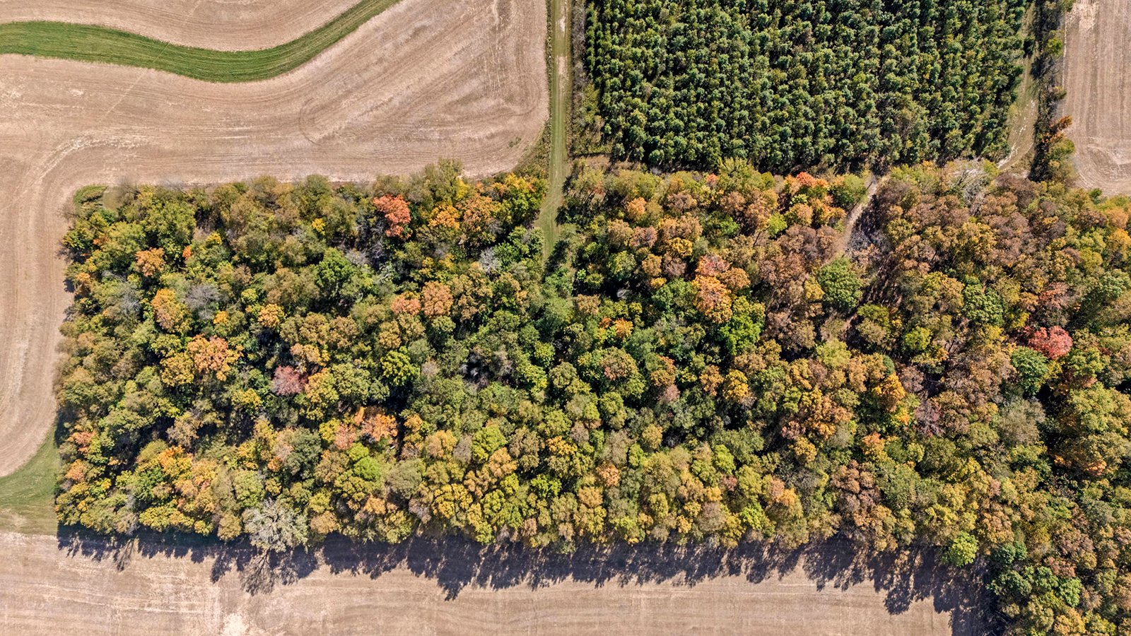 Property photo 36 - REAL ESTATE AUCTION - 37.5+/- ACRES OFFERED IN 3 TRACTS IN WHITLEY COUNTY, INDIANA