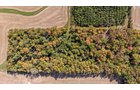 Property photo 36 - REAL ESTATE AUCTION - 37.5+/- ACRES OFFERED IN 3 TRACTS IN WHITLEY COUNTY, INDIANA