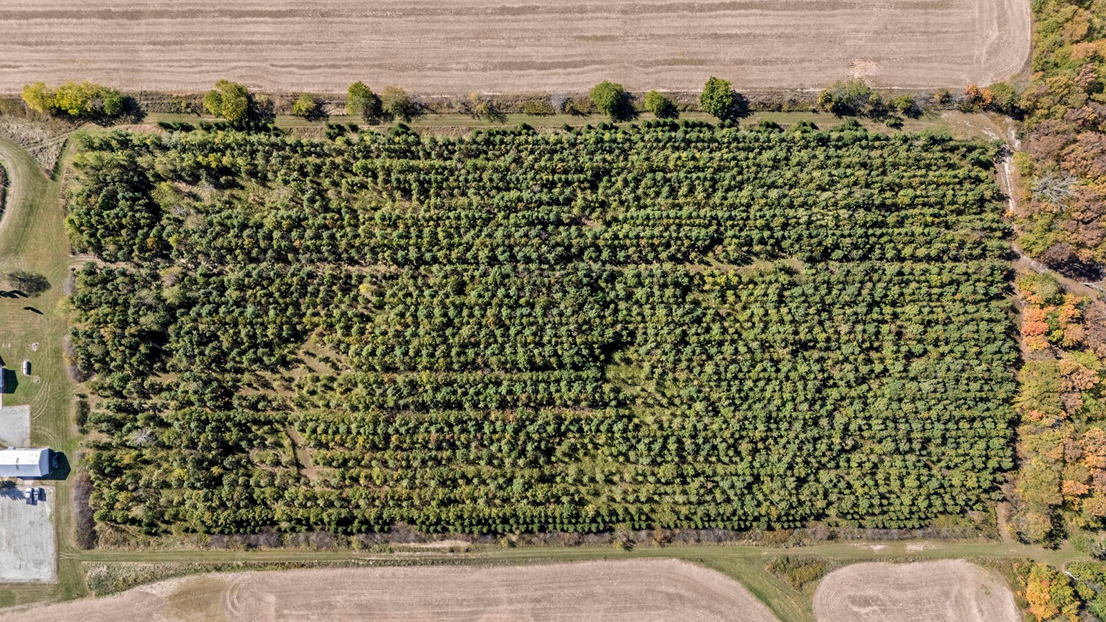 Property photo 35 - REAL ESTATE AUCTION - 37.5+/- ACRES OFFERED IN 3 TRACTS IN WHITLEY COUNTY, INDIANA