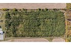 Property photo 35 - REAL ESTATE AUCTION - 37.5+/- ACRES OFFERED IN 3 TRACTS IN WHITLEY COUNTY, INDIANA