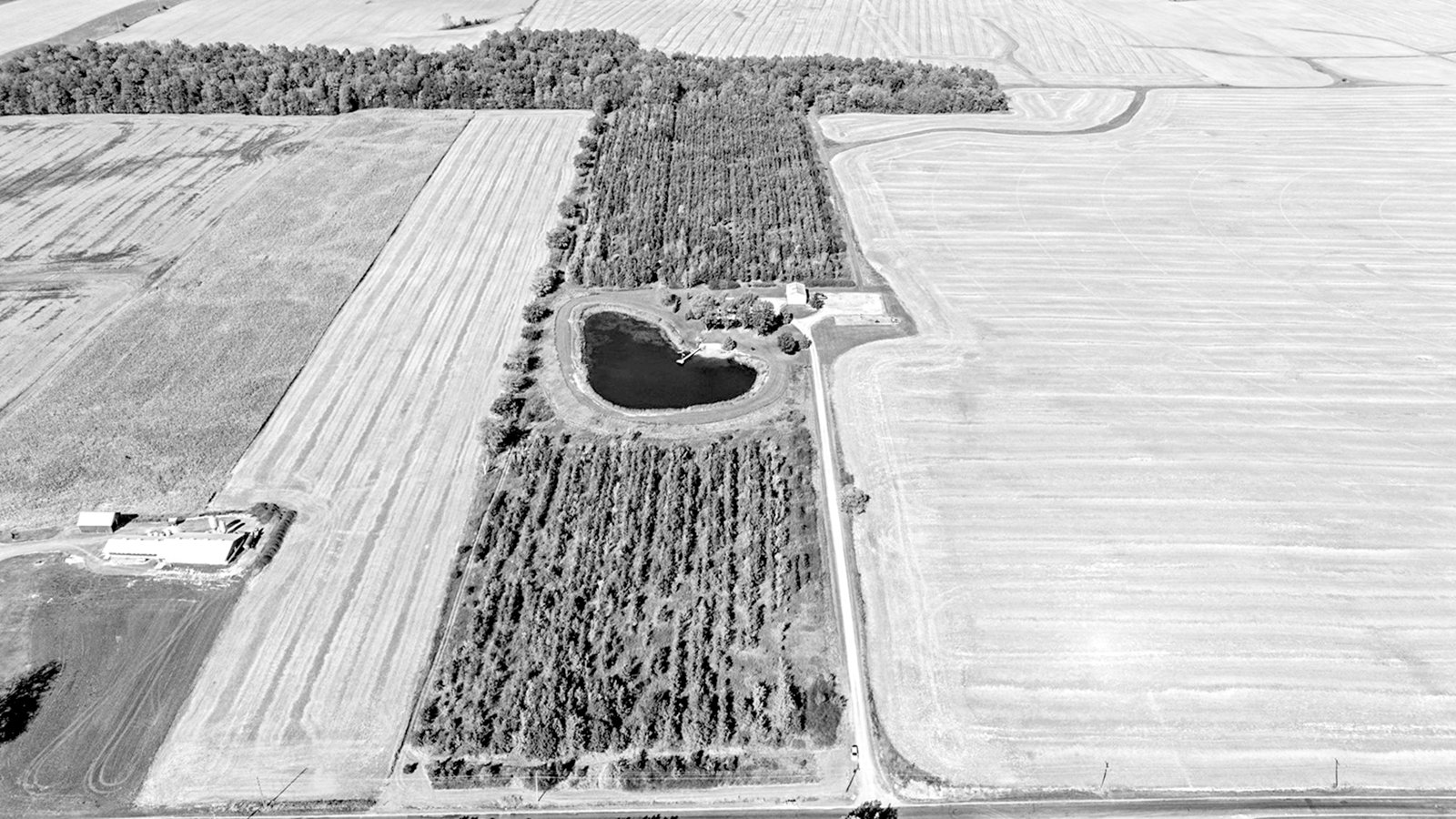 Property photo 60 - REAL ESTATE AUCTION - 37.5+/- ACRES OFFERED IN 3 TRACTS IN WHITLEY COUNTY, INDIANA