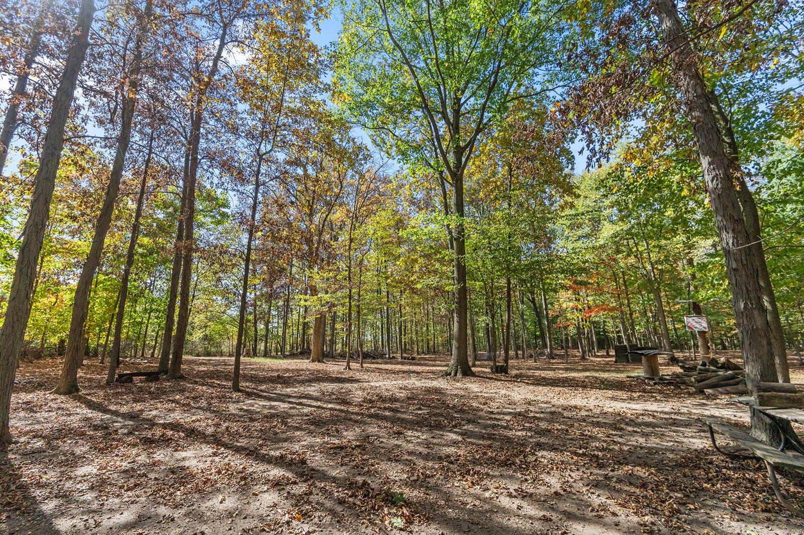 Property photo 29 - REAL ESTATE AUCTION - 37.5+/- ACRES OFFERED IN 3 TRACTS IN WHITLEY COUNTY, INDIANA