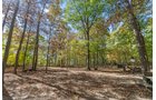 Property photo 29 - REAL ESTATE AUCTION - 37.5+/- ACRES OFFERED IN 3 TRACTS IN WHITLEY COUNTY, INDIANA