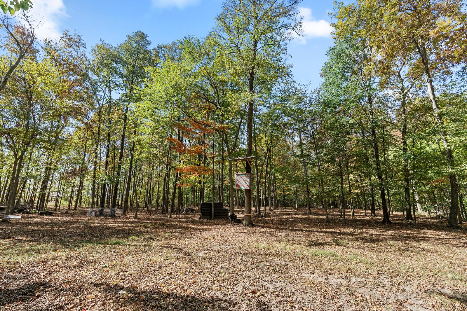 Property photo 28 - REAL ESTATE AUCTION - 37.5+/- ACRES OFFERED IN 3 TRACTS IN WHITLEY COUNTY, INDIANA