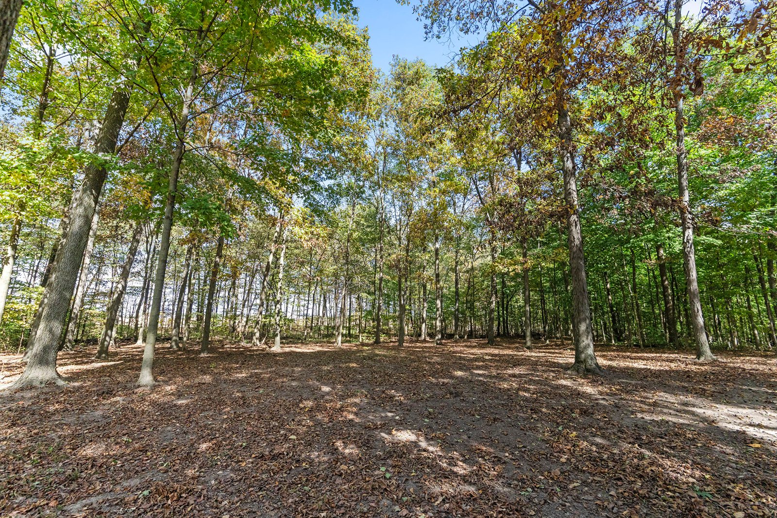 Property photo 27 - REAL ESTATE AUCTION - 37.5+/- ACRES OFFERED IN 3 TRACTS IN WHITLEY COUNTY, INDIANA