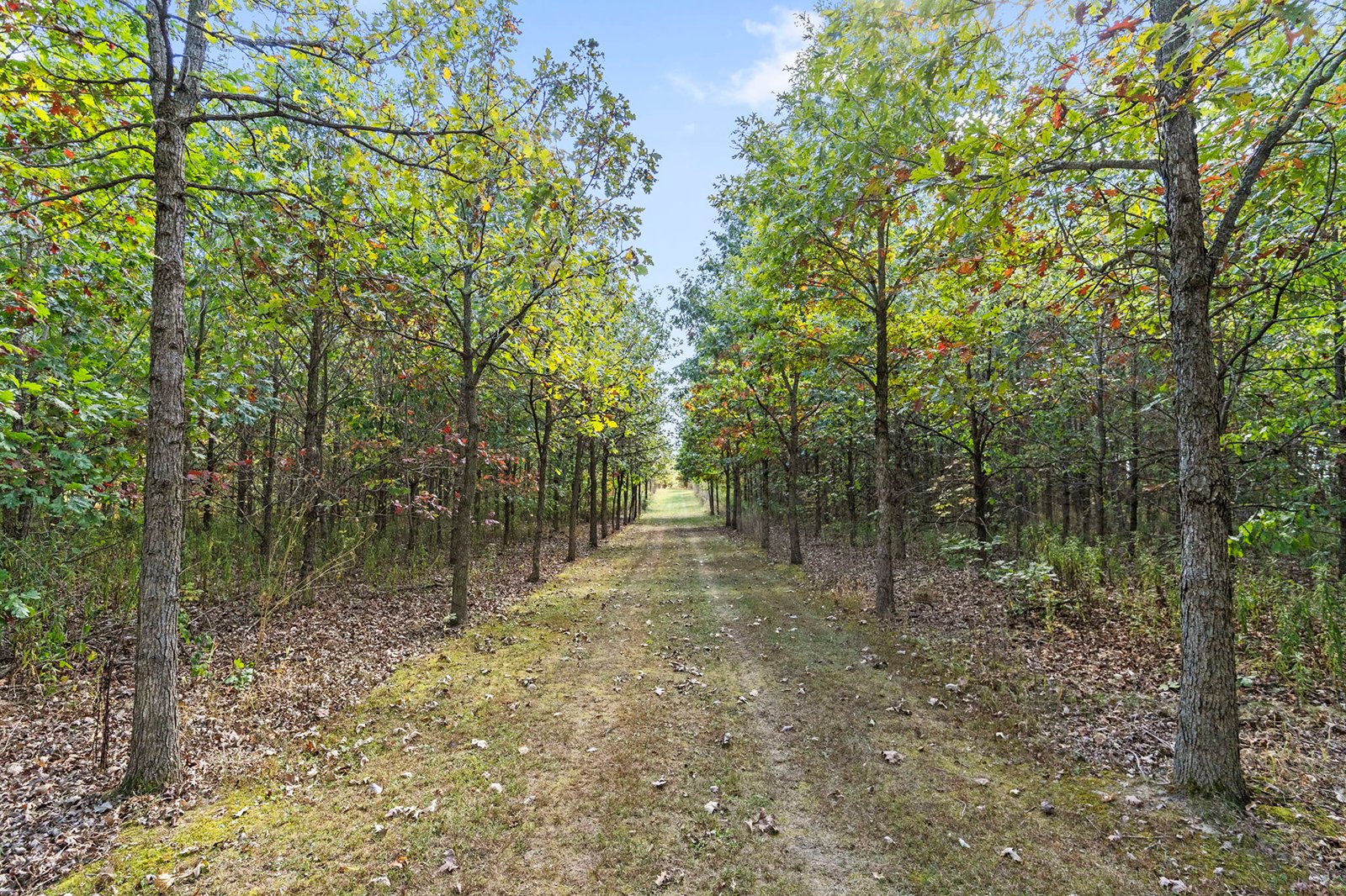 Property photo 25 - REAL ESTATE AUCTION - 37.5+/- ACRES OFFERED IN 3 TRACTS IN WHITLEY COUNTY, INDIANA