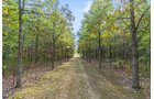 Property photo 25 - REAL ESTATE AUCTION - 37.5+/- ACRES OFFERED IN 3 TRACTS IN WHITLEY COUNTY, INDIANA