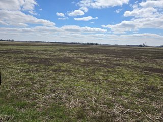 Property photo 41 - LAND AUCTION - 535+/-ACRES OFFERED IN 6 TRACTS IN DELAWARE COUNTY, INDIANA