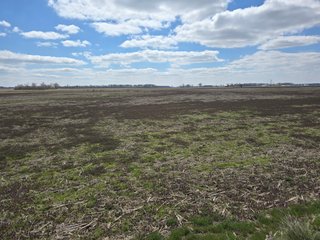 Property photo 42 - LAND AUCTION - 535+/-ACRES OFFERED IN 6 TRACTS IN DELAWARE COUNTY, INDIANA