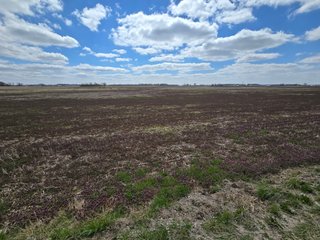 Property photo 44 - LAND AUCTION - 535+/-ACRES OFFERED IN 6 TRACTS IN DELAWARE COUNTY, INDIANA