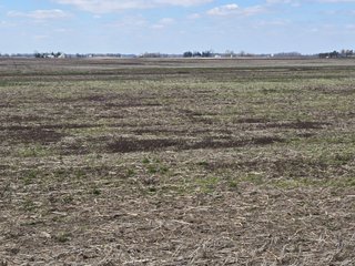 Property photo 46 - LAND AUCTION - 535+/-ACRES OFFERED IN 6 TRACTS IN DELAWARE COUNTY, INDIANA