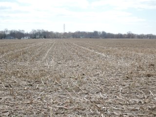 Property photo 48 - LAND AUCTION - 535+/-ACRES OFFERED IN 6 TRACTS IN DELAWARE COUNTY, INDIANA