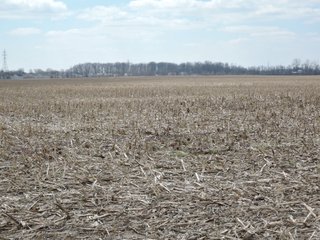 Property photo 49 - LAND AUCTION - 535+/-ACRES OFFERED IN 6 TRACTS IN DELAWARE COUNTY, INDIANA