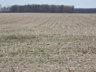 Property photo 50 - LAND AUCTION - 535+/-ACRES OFFERED IN 6 TRACTS IN DELAWARE COUNTY, INDIANA