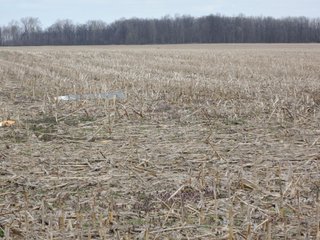 Property photo 51 - LAND AUCTION - 535+/-ACRES OFFERED IN 6 TRACTS IN DELAWARE COUNTY, INDIANA