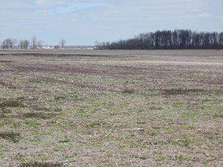 Property photo 54 - LAND AUCTION - 535+/-ACRES OFFERED IN 6 TRACTS IN DELAWARE COUNTY, INDIANA