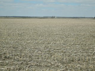 Property photo 59 - LAND AUCTION - 535+/-ACRES OFFERED IN 6 TRACTS IN DELAWARE COUNTY, INDIANA