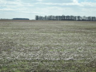 Property photo 61 - LAND AUCTION - 535+/-ACRES OFFERED IN 6 TRACTS IN DELAWARE COUNTY, INDIANA