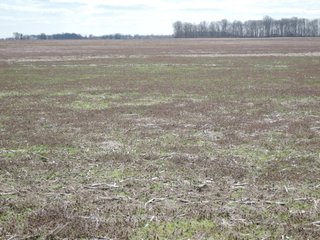 Property photo 62 - LAND AUCTION - 535+/-ACRES OFFERED IN 6 TRACTS IN DELAWARE COUNTY, INDIANA